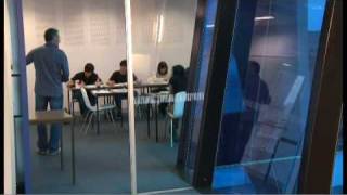 Study International Business at the University of South Australia [upl. by Kcirdehs933]