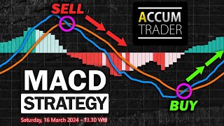 MACD Strategy [upl. by Aelahs]