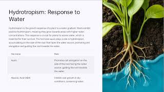 Tropic movements in plants Class 10 11 cbse icse bseb neet [upl. by Sclar977]