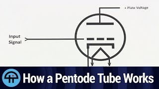 How a Pentode Tube Works [upl. by Larissa]