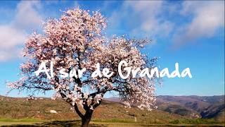 Almendros en flor AL SUR DE GRANADA [upl. by Ailelc877]