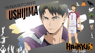 Review Ushijima Wakatoshi  Opposite Hitter From Shiratorizawa  Haikyuu fly high [upl. by Annoyt]