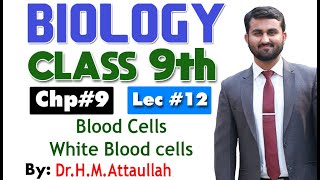 Blood Cells  White blood cells  Leukocytes  Chapter 9  9th class Biology  Lec 12 [upl. by Narruc597]