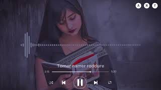 Any Tomar Namer Roddure  Lyrics Video  Any [upl. by Leeann]