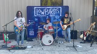 Santeria  Low Birds Live at Company Distilling March 2023 [upl. by Sherourd568]