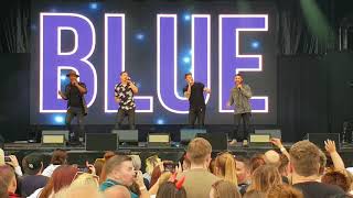 Blue  Too close  Slessor Gardens  22 June 2018 [upl. by Hairas304]