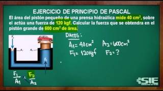 Ejercicio de Principio de Pascal [upl. by Eadas30]