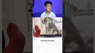 Try Not to Laugh Challenge 91🤣 funny shorts viral [upl. by Saphra456]