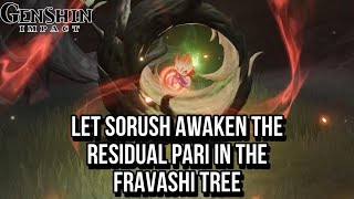 Let Sorush Awaken the residual Pari in the Fravashi Tree  Genshin Impact Guide [upl. by Dixil196]