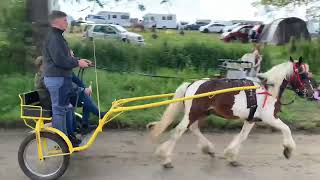 Appleby Horse Fair 2024  Saturday 8th June [upl. by Annohsed]