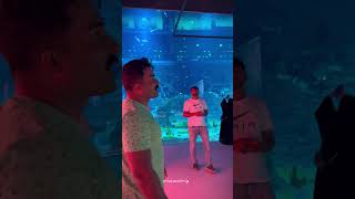 ഖത്തറിലെ ഓൾഡ്പോർട്ട് അക്വേറിയം…qatar aquarium qatarliving [upl. by Yebba947]