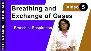 Breathing and Exchange of Gases  NEET  Branchial Respiration  Neela Bakore Tutorials [upl. by Cicero335]