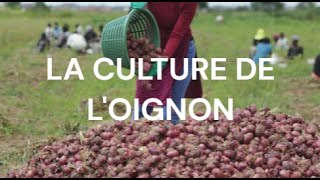 LA CULTURE DE LOIGNON [upl. by Aidan]