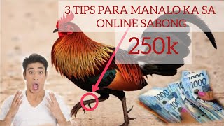 3 TIPS KUNG PAANO MANALO SA ONLINE SABONG onlinesabong [upl. by Avery505]