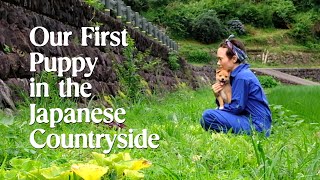 We Welcomed Our First Dog into Our Countryside Life in Japan [upl. by Aloisia]