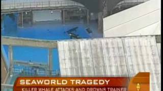 Killer Whale Grabs Drowns Trainer [upl. by Yerrot521]