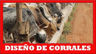 🔴 CONSEJOS para GANADEROS Diseño de CORRALES ✅ Curso de Ganaderia Bovina [upl. by Halford]