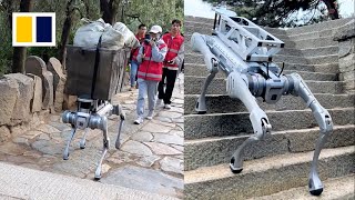 Robot dog takes over tough tasks on Mount Tai [upl. by Wenz]