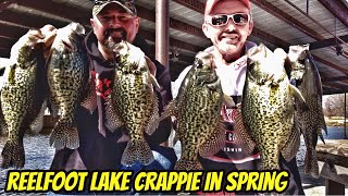 REELFOOT LAKE BIG BLACK SPRING SLABS Full eps [upl. by Carleen]