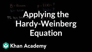 Applying the HardyWeinberg equation  Biomolecules  MCAT  Khan Academy [upl. by Gine]