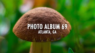 Photo Album 69 Mushrooms in Atlanta  Olympus EPL3 Micro Four Thirds [upl. by Enerod]