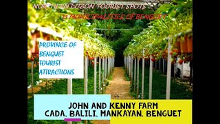 Top 40 Tourist Attractions in Benguet Philippines 2020 [upl. by Enelia]