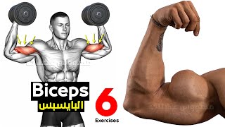 How To Build Your Biceps Workout Fast long head  short head  brachioradialis  Brachialis [upl. by Feune51]