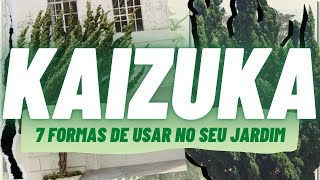 KAIZUKA  COMO USAR NO SEU JARDIM Juniperus chinensis torulosa [upl. by Leesa]