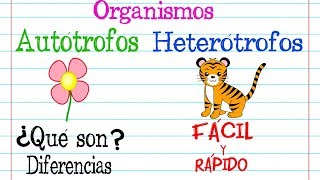 Organismos 🌿AUTÓTROFOS Y HETERÓTROFOS🐝 Fácil y Rápido  BIOLOGÍA [upl. by Waldack281]