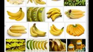 Spiras Favorite Mucusless Diet Healing System Foods Fruits Part 2 [upl. by Deery]