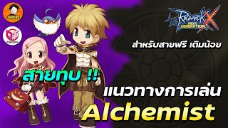 Full Guide Alchemist สายทุบ ใช้งบน้อย เล่นง่าย เก่งไว  Ragnarok x next generation [upl. by Lubow]