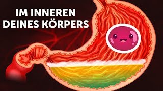 Eine Reise durch deinen Körper [upl. by Hynes]