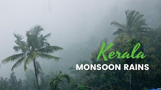 Why Kerala for Monsoon  Best Monsoon video [upl. by Hanyaz]