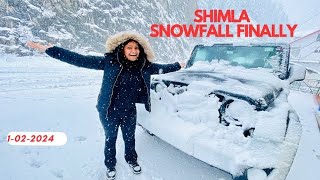 SHIMLA SNOWFALL FINALLY  LATEST SNOWFALL SHIMLA KUFRI  1FEB 2024  FIRST SNOWFALL THIS SEASON [upl. by Yekcor]