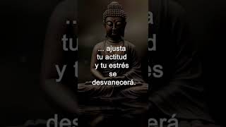 11Actitud Alivia el Estrés y la Ansiedad con estas frases de Buda04 buda stressrelief [upl. by Ruffi63]