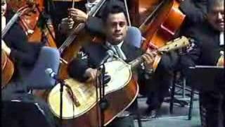 VIOLIN HUAPANGO MARIACHI VARGAS DE TECALITLAN [upl. by Elockcin130]