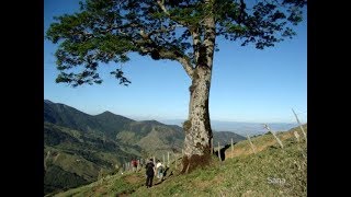 Sugestões de Passeios  Pedra Grande Gomeral [upl. by Valorie]