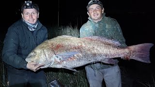 corvina negra gigante record general Lavalle 30kilos [upl. by Nywled]