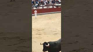 😮🏃🐂Impresionante lo que ha hecho Daganzo toros torosbravos recortes bull torobravo españa [upl. by Dupuy]