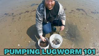 How to pump lugworm 101 [upl. by Latona]