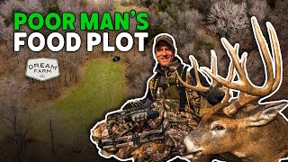 Budget Food Plots for Everyone Poor Mans Plots  Dream Farm w Bill Winke [upl. by Ytissahc211]