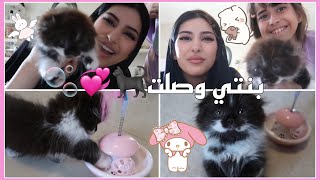 اكيت مفاجأة فلوق كيوت ويا بنتي🐈‍⬛💗🫧 [upl. by Swayne]