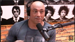 Joe Rogan on Fedor Being KOd by Matt Mitrione [upl. by Naeloj]