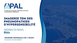 Imagerie TDM des pneumopathies dhypersensibilité Abdenacer Nehal [upl. by Elder]