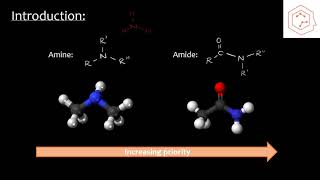 SCH4UGrade 12 Chemistry Amines and amides [upl. by Thorrlow179]