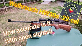 Weihrauch HW30s 22 cal how accurate is it with open sights weihrauch weihrauchhw30s [upl. by Aarika902]