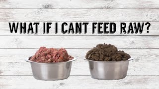 What If I Cant Feed Raw  How to Make Kibble Better  Pazuandfriends [upl. by Menzies501]