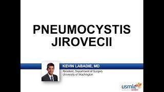 USMLERx Express Video of the Week Pneumocystis Jirovecii [upl. by Tsuda339]