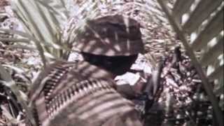 SEAL Team One May 291970 Vietnam full [upl. by Mientao]