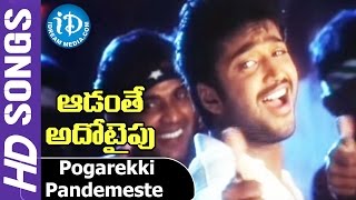 Aadanthe Ado Type Movie  Pogarekki Pandemeste Video Song  Sivaji  Aryan Rajesh  Anita [upl. by Grim]